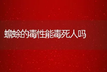 蟾蜍的毒性能毒死人吗