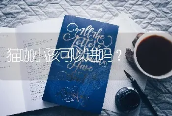 猫咖小孩可以进吗？