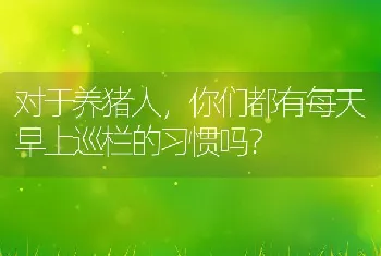 对于养猪人，你们都有每天早上巡栏的习惯吗？