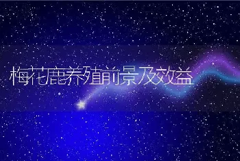 梅花鹿养殖前景及效益