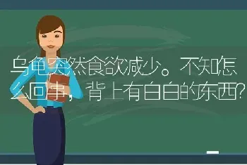 乌龟突然食欲减少。不知怎么回事，背上有白白的东西？