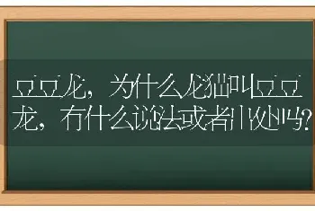 豆豆龙，为什么龙猫叫豆豆龙，有什么说法或者出处吗？