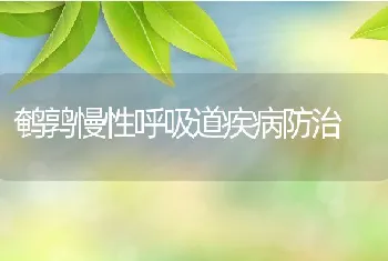 鹌鹑慢性呼吸道疾病防治