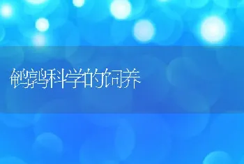 猪病防制出路在哪里解决之道有三点