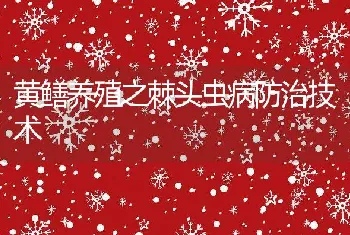 黄鳝养殖之棘头虫病防治技术