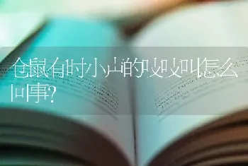 仓鼠有时小声的吱吱叫怎么回事？