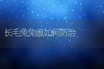 长毛兔兔瘟如何防治