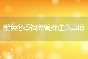 獭兔冬季饲养管理注意事项