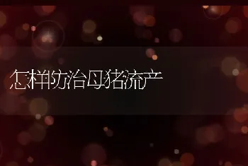 用中医中药治鸽病效果好