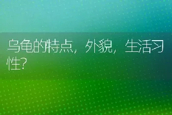 乌龟的特点，外貌，生活习性？