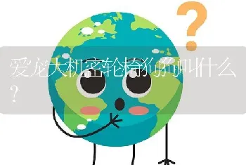 爱宠大机密轮椅狗狗叫什么？