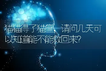 狗狗咔咔是怎么回事，好像有东西卡住似的，想吐又吐不出来？