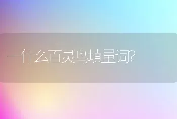 一什么百灵鸟填量词？