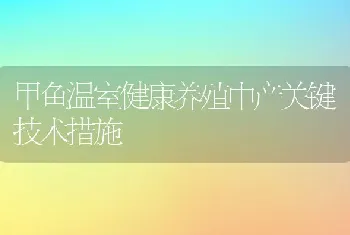 甲鱼温室健康养殖中产关键技术措施