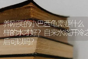 养刚买的小巴西龟需要什么样的水才好？自来水烧开冷之后可以吗？