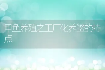 甲鱼养殖之工厂化养鳖的特点