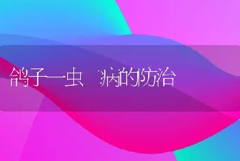 鸽子一虫二病的防治