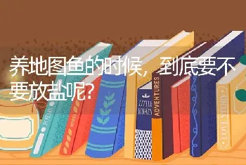 养地图鱼的时候，到底要不要放盐呢？