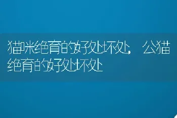 猫咪绝育的好处坏处，公猫绝育的好处坏处