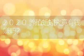 2020养殖蚯蚓究竟有钱赚吗？