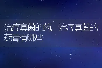 南航宠物托运，南航宠物托运电话