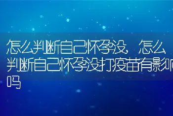 怎么判断自己怀孕没，怎么判断自己怀孕没打疫苗有影响吗