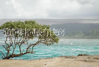 海水龙虾人工养成技术