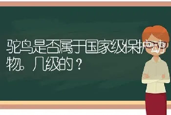 驼鸟是否属于国家级保护动物。几级的？