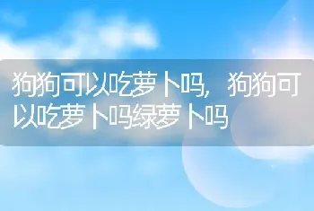 狗狗可以吃萝卜吗，狗狗可以吃萝卜吗绿萝卜吗