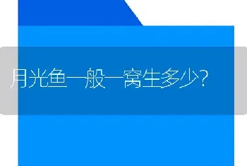 月光鱼一般一窝生多少？