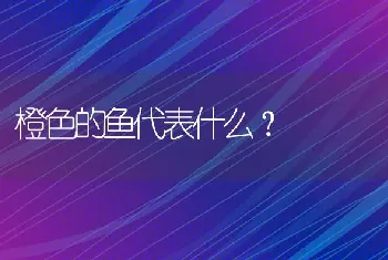 橙色的鱼代表什么？