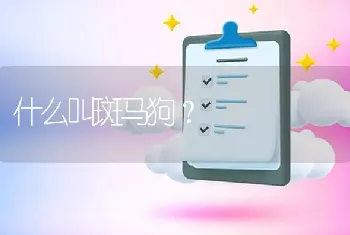 什么叫斑马狗？