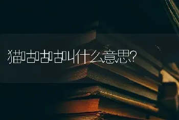 猫咕咕咕叫什么意思？