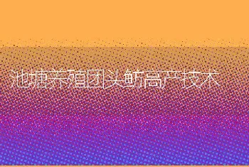 池塘养殖团头鲂高产技术