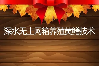 深水无土网箱养殖黄鳝技术