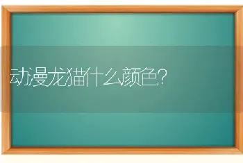 动漫龙猫什么颜色？