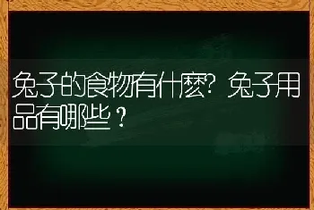 兔子的食物有什麽?兔子用品有哪些？