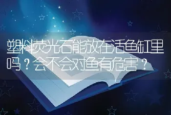 塑料荧光石能放在活鱼缸里吗？会不会对鱼有危害？