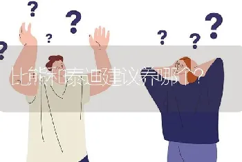 比熊和泰迪建议养哪个？