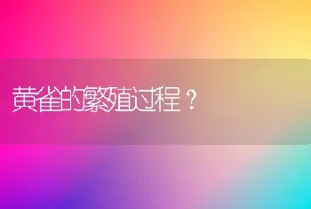 黄雀的繁殖过程？