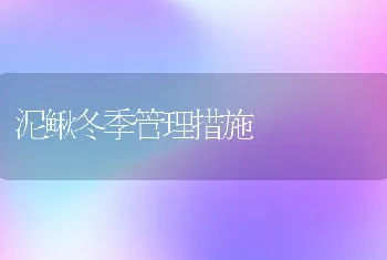 泥鳅冬季管理措施