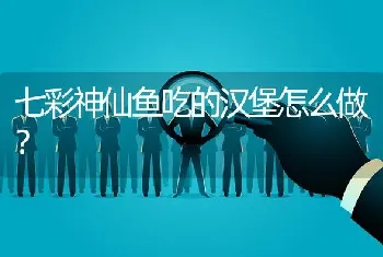 七彩神仙鱼吃的汉堡怎么做？