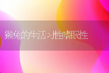 獭兔的生活习性嗜眠性