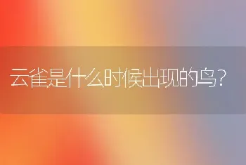 云雀是什么时候出现的鸟？