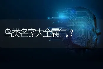 鸟类名字大全霸气？