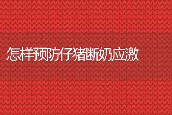 养猪者应学习哪些知识？