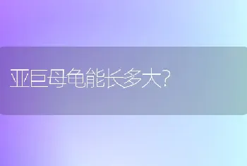 亚巨母龟能长多大？