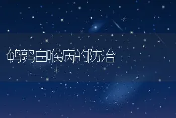 鹌鹑白喉病的防治