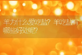 羊为什么爱吃盐？羊吃盐有哪些好处呢？