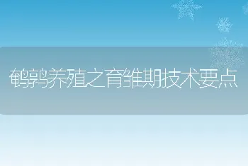 鹌鹑养殖之育雏期技术要点